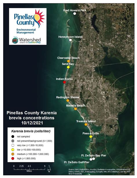 Crews from the city collected nine tons of dead fish since Thursday. . Red tide st pete beach map
